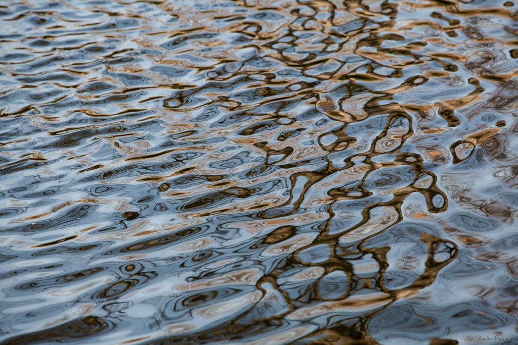 photographe-artiste-eau-rivière